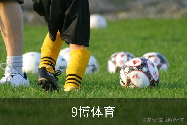 9博体育公司介绍图片